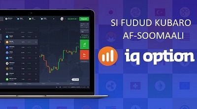 IQ OPTION BINARY AND DIGITAL